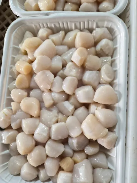 原浆扇贝丁无泡水鲜嫩肉质冷链锁鲜顺丰发货