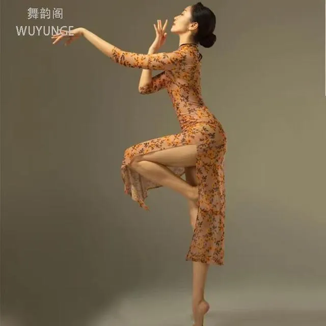 中国风古典舞蹈服旗袍弹力显瘦身韵练功服纱衣女印花跳舞演出服装