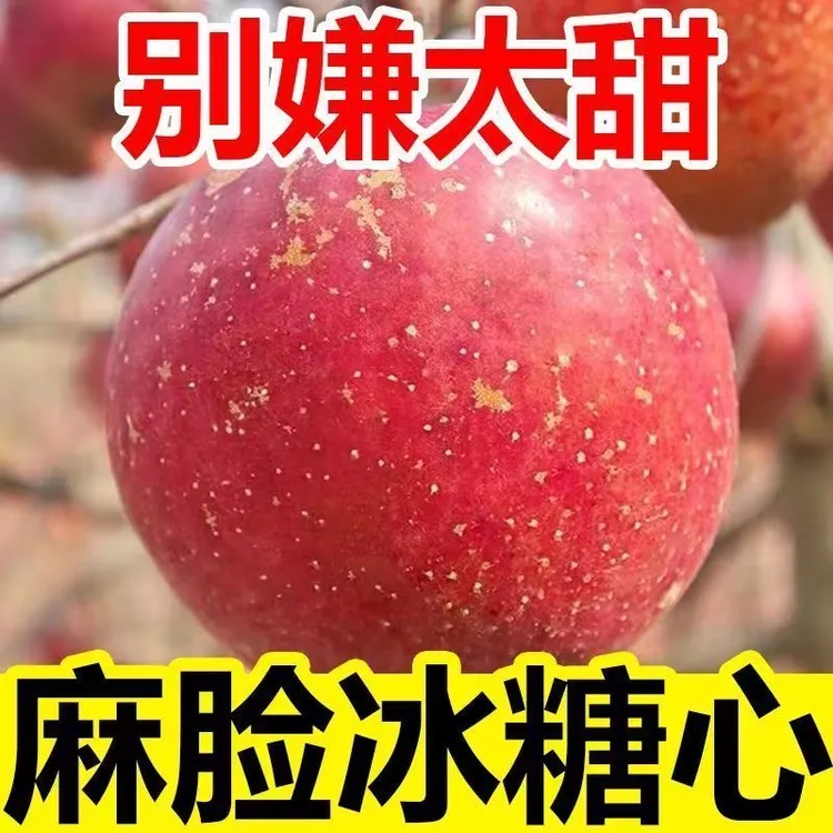 大凉山丑苹果盐源苹果脆甜多汁冰糖心新鲜现摘当季水果