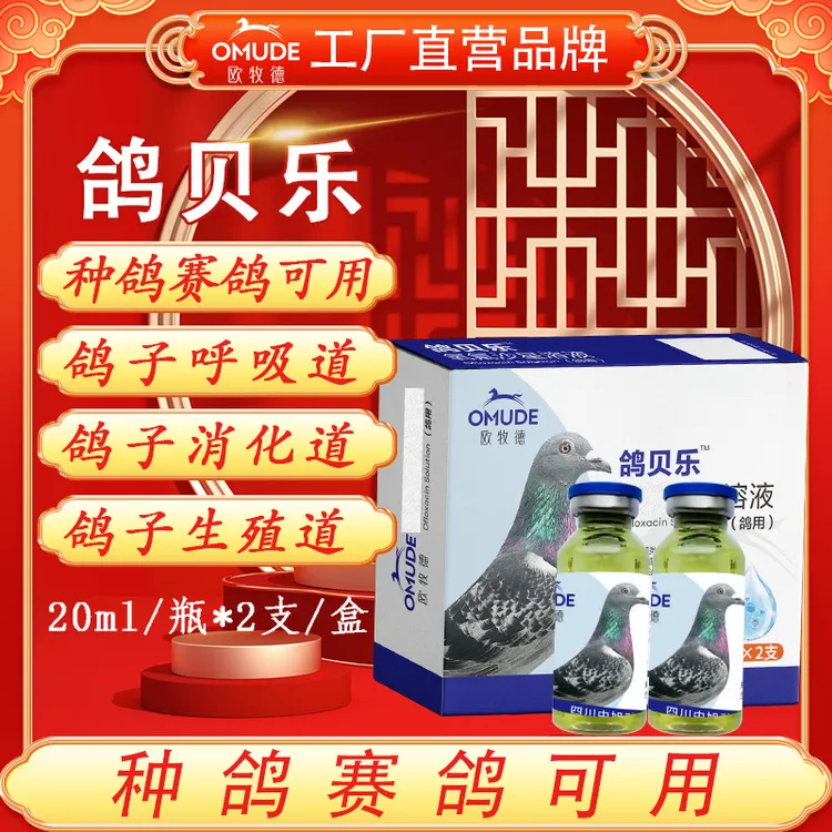 欧牧徳鸽贝乐种鸽赛鸽幼鸽圆环元宝可用不伤鸽子