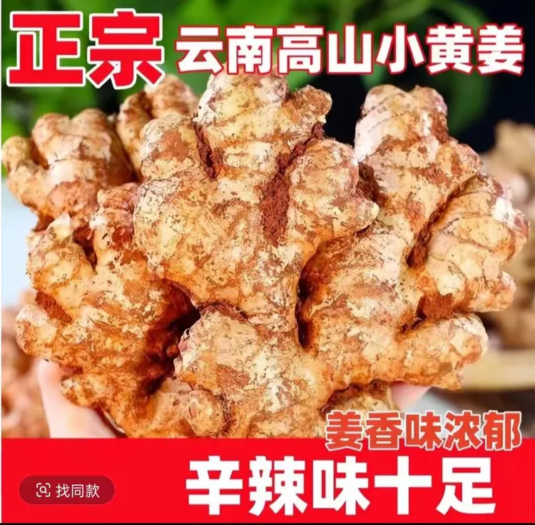 农家自种云南小黄姜新鲜现挖批发黄姜生姜正宗老姜嫩姜月子
