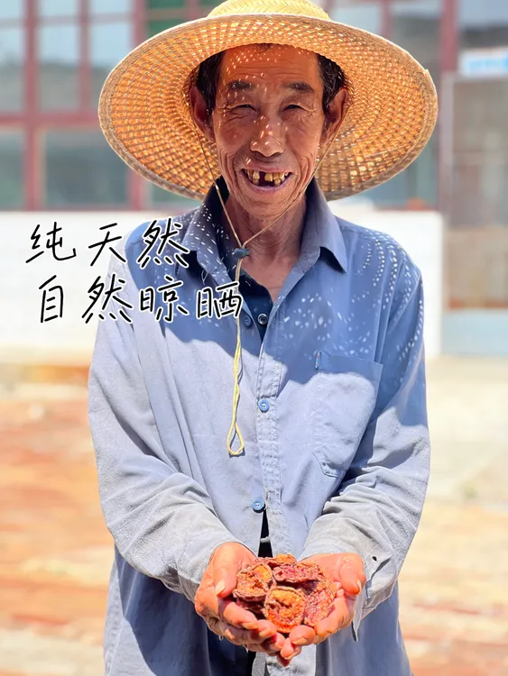 阳原县特产京杏干酸甜口味天然无核杏肉零食