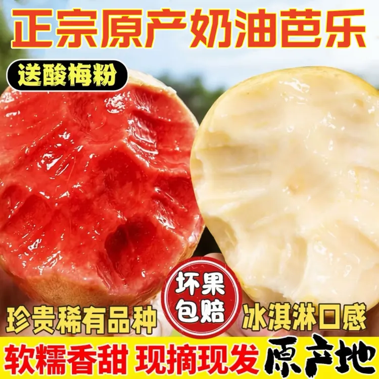 【产地直发】 红心芭乐软糯香甜奶油白芭乐冰淇淋般口感坏果包赔商品图