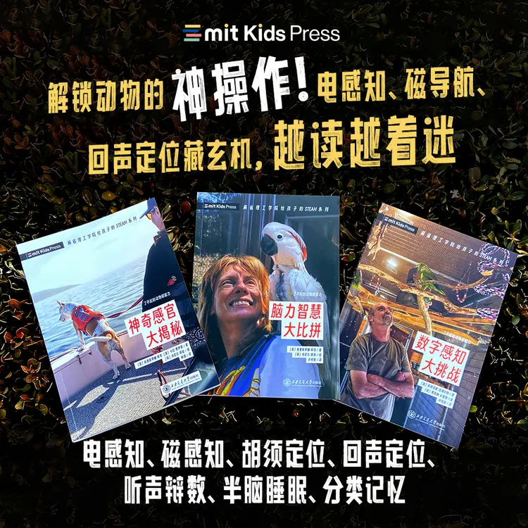 筑桥了不起的动物超能力（全3册）