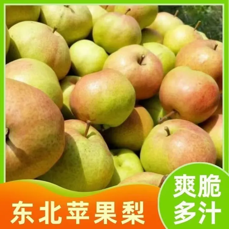 延边特产苹果梨甜脆可口当季新鲜水果
