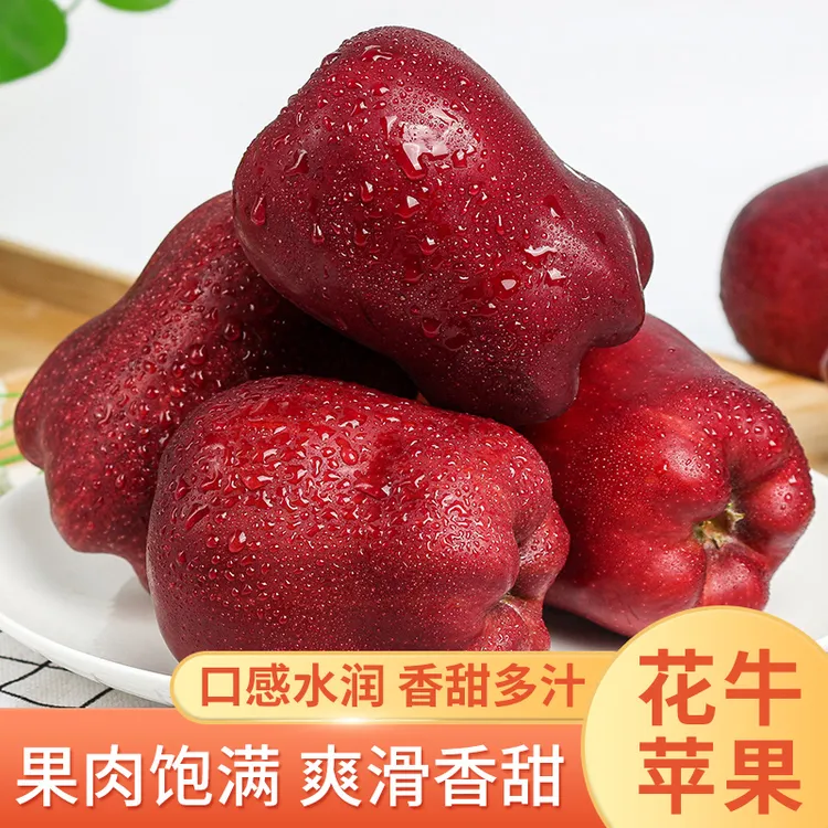 甘肃天水花牛苹果新鲜水果蛇果当季新鲜脆甜丑苹果整箱装产地直发