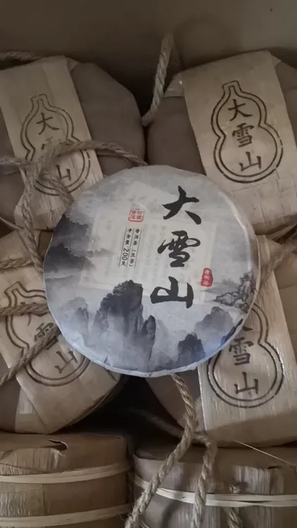 双11拍1发2大雪山普洱茶（生茶）
