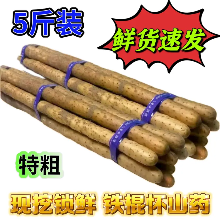 【现挖现发】特大铁棍山药新鲜现挖粉糯蔬菜河南温县