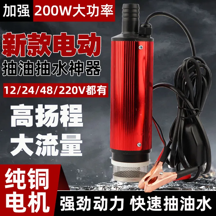 200W大功率抽油抽水泵12V24V48V220V小型抽油神器电动农用车配件商品图