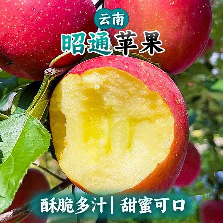 大果2025年云南昭通苹果新鲜应季冰糖心红露水果当季整箱包邮