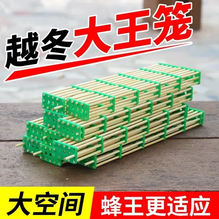 加长竹制囚王笼蜜蜂越冬专用意蜂竹子蜂王笼囚蜂王养蜂工具