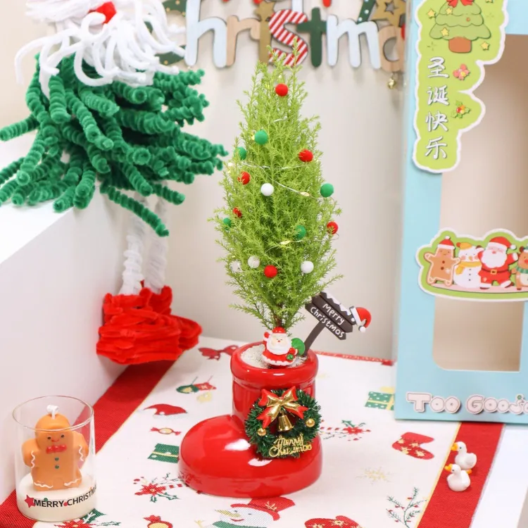 南洋杉圣诞树节日装饰室内桌面绿植净化空气好养耐寒卧室创意摆件