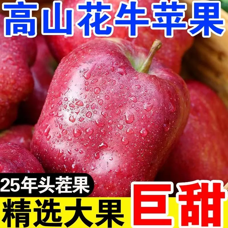 甘肃【天水花牛苹果】脆粉两吃当季新鲜水果整箱包邮