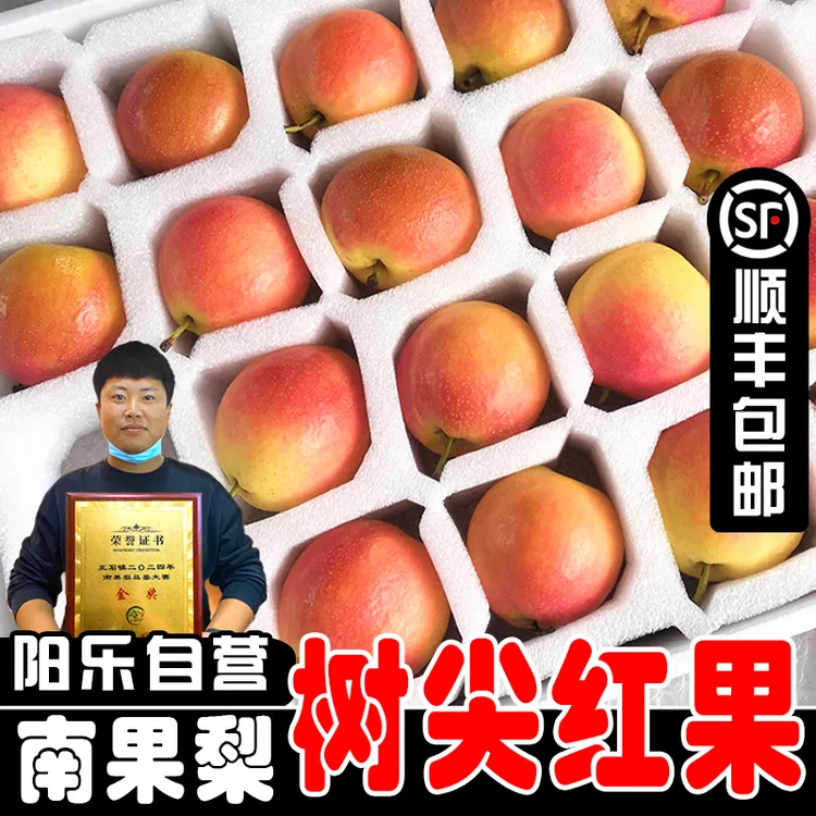 【树尖红果】2025年辽宁鞍山特产南果梨海城南国梨新鲜5斤顺丰包邮