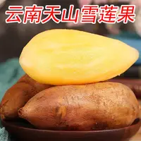 云南天山雪莲果清甜多汁脆嫩可口净重5斤新鲜低糖水果当季
