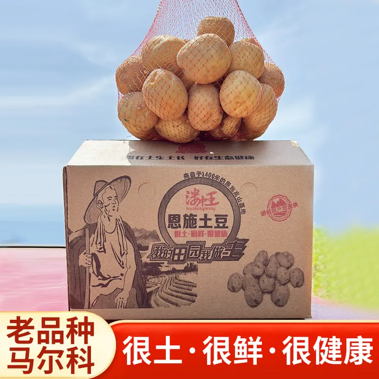 【5斤-9斤】恩施小土豆老品种马尔科洋芋黄皮马铃薯粉糯香甜新鲜