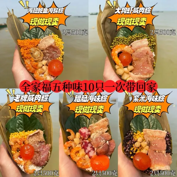 广东阳江海陵岛海鲜肉粽全家福端午五种口味250g*10只手工礼盒装