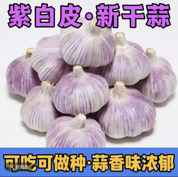 AA新鲜紫白皮干蒜辛辣提香厨房调味佳品