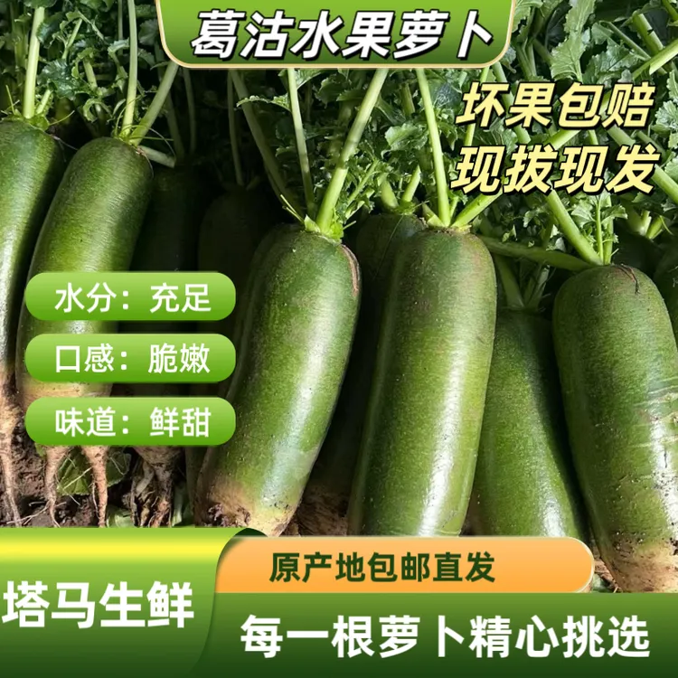 葛沽水果萝卜【塔指甄选】