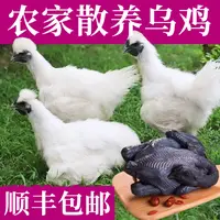 乌鸡1kg*2只活鸡现杀新鲜老母鸡五黑鸡公鸡月子滋补顺丰