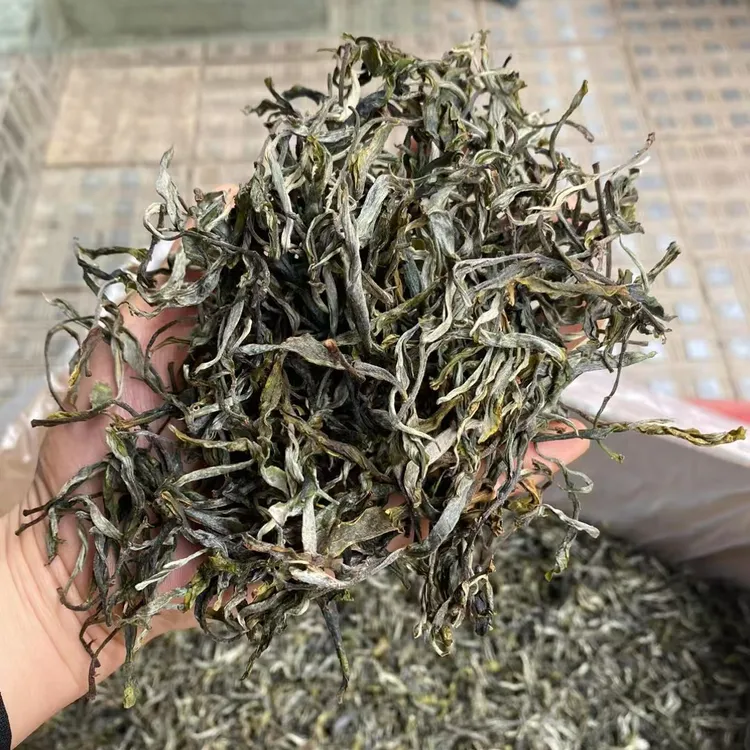 茶叶普洱茶生茶2025春茶散茶藤条古树茶临沧茶区花香古树茶