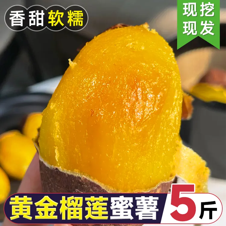 黄金榴莲蜜薯黄心红薯新鲜农家番薯丝滑山芋流蜜店沙地软糯龙九