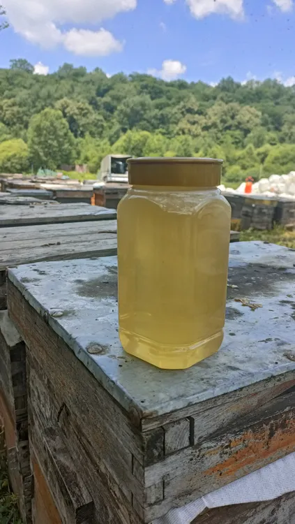 椴树蜂蜜(液态）长白山深山紫椴原生态蜂蜜农自产正宗天然无勾兑