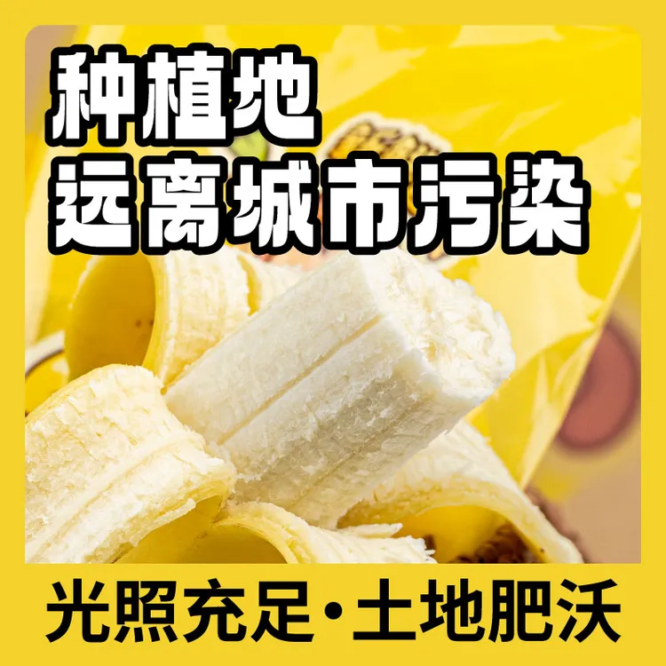 【独立包装】精选高质量自熟香蕉顺丰包邮产地香甜孕妇宝宝辅食