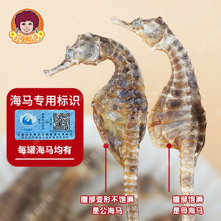【芬姐精选】清水海马（产地：山东）