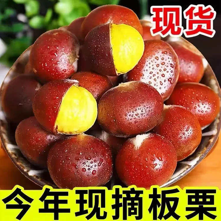 【卖3斤送2斤】新鲜b现摘高山板栗当季生栗子难剥皮整箱产地直发