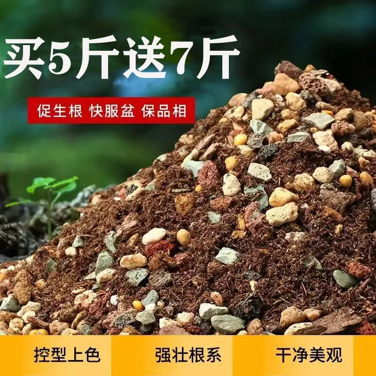 【买5斤送7斤】通用土70%颗粒营养土防烂根花土多肉土兰花年货节