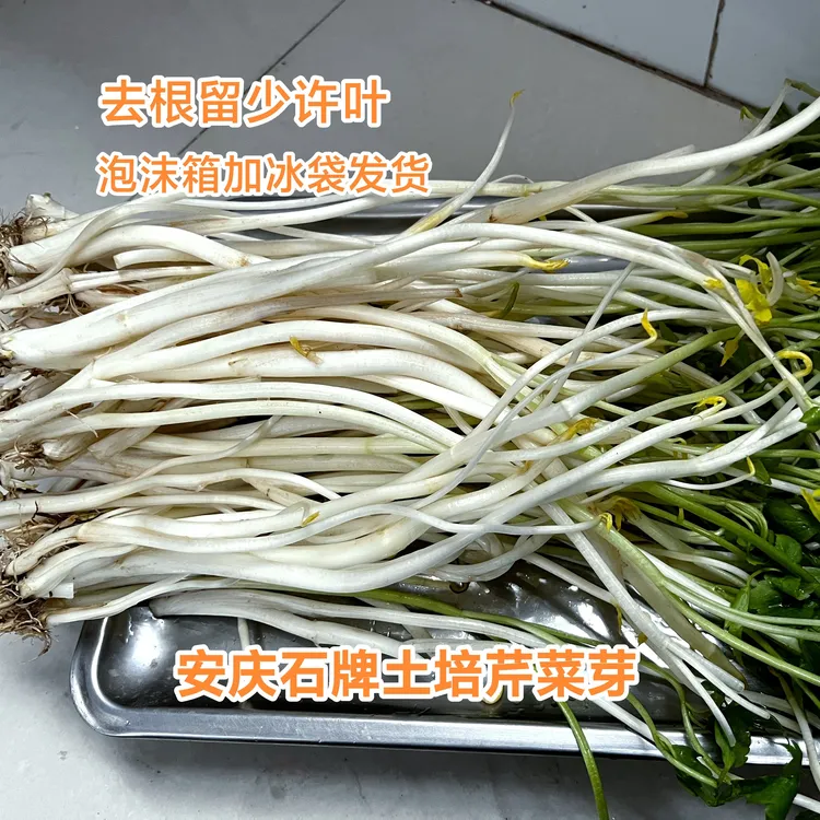 安徽特产新鲜芹芽蔬菜 农家现挖当季白杆芹菜去根包邮