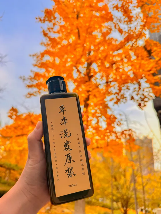 植物草本洗发水 侧柏叶皂角洗头养发护发清爽温和不含月桂醇