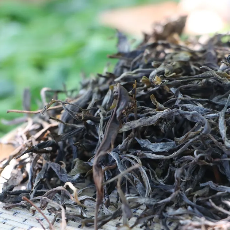 2023年春-麻栗坡古树茶-古树生茶花香蜜甜兰花香十足