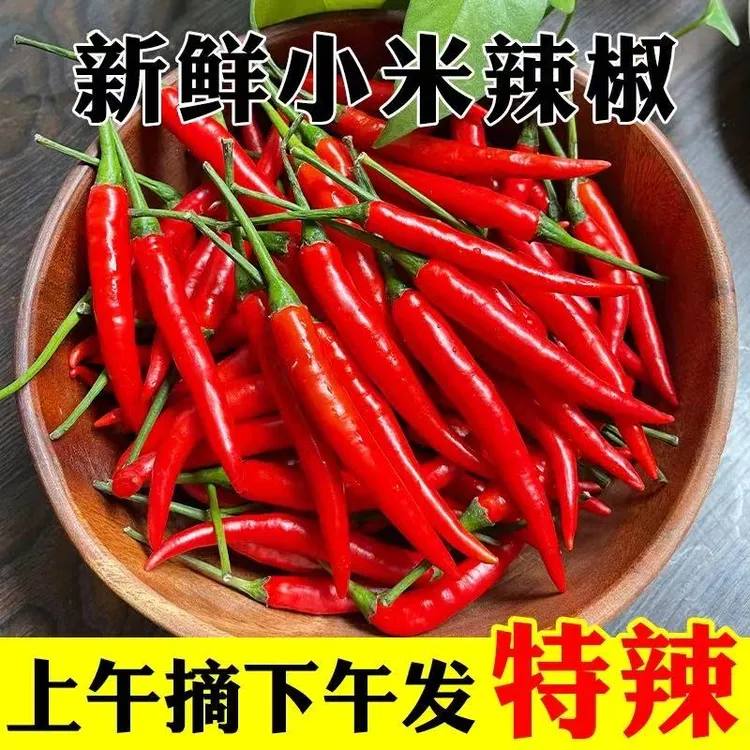 小米辣椒新鲜9斤批发小米椒朝天椒特辣超辣薄皮土红辣椒指天椒5斤