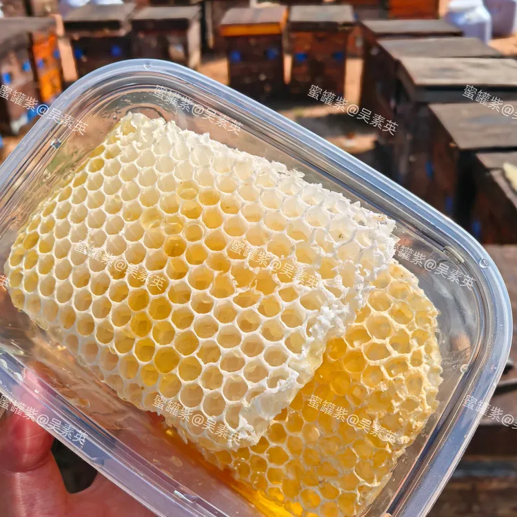 （少蜜版）蜂巢蜜  蜂巢胚  蜂巢脾  蜂巢 赘蜜脾 蜂巢