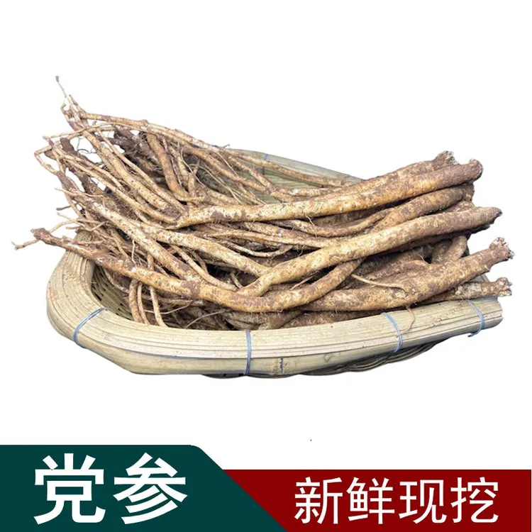 云南新鲜【白党参】可煲汤煮水泡酒