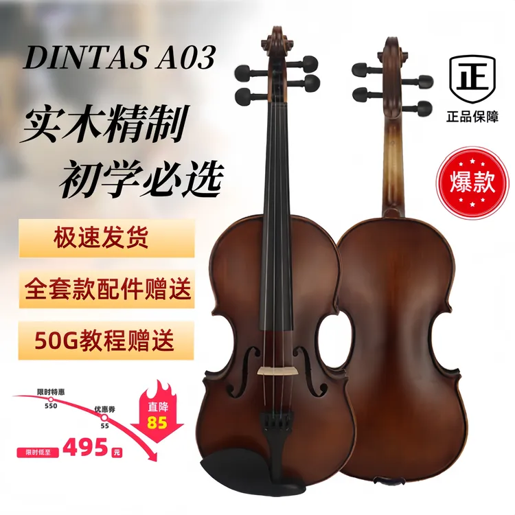 DINTAS/丁塔斯A03实木仿古色小提琴初学入门儿童成人自学仿古提琴