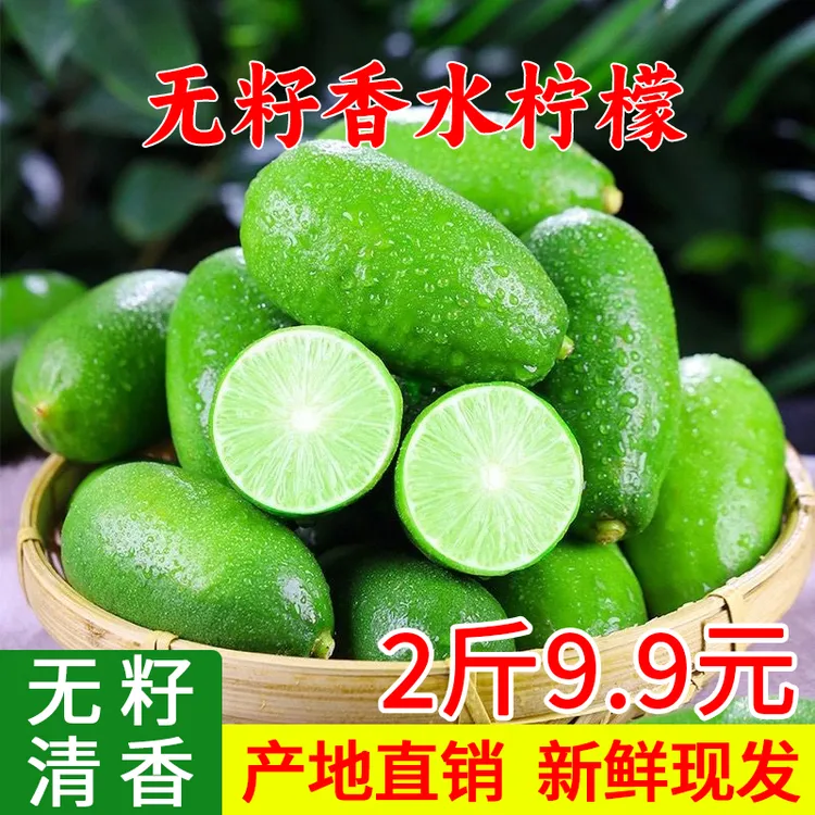 无籽香水柠檬青柠檬新鲜水果子弹头柠檬奶茶店专用柠檬