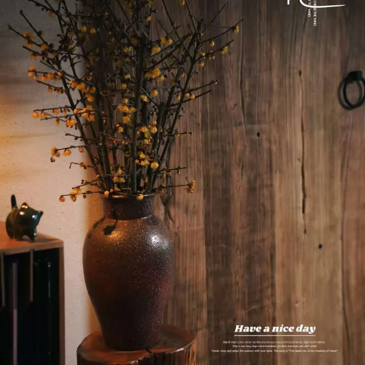 腊梅耐寒浓香遇水开花素心腊梅鲜切适合冬季花卉梅花庄园基地直采