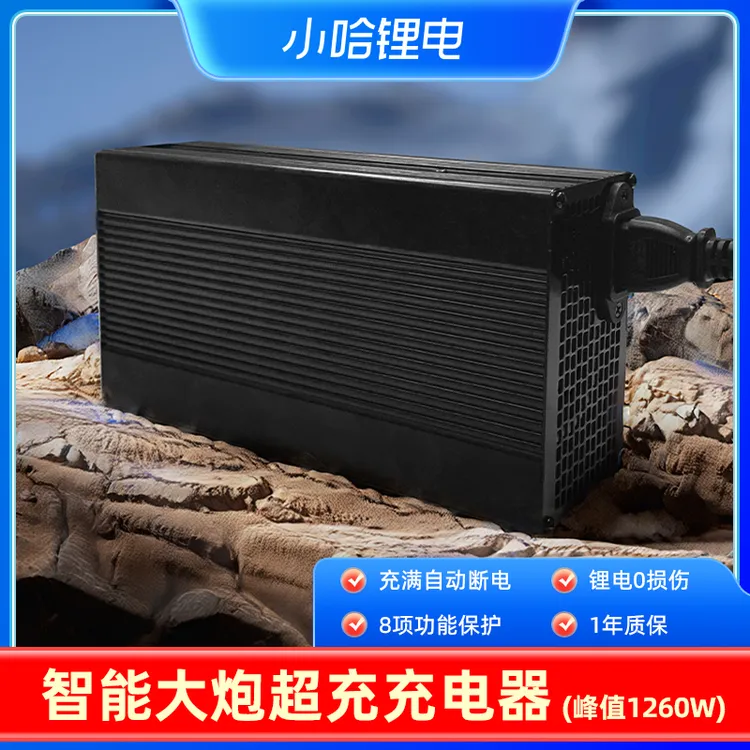 小哈大炮17A智能充电器【只能充小哈电池】