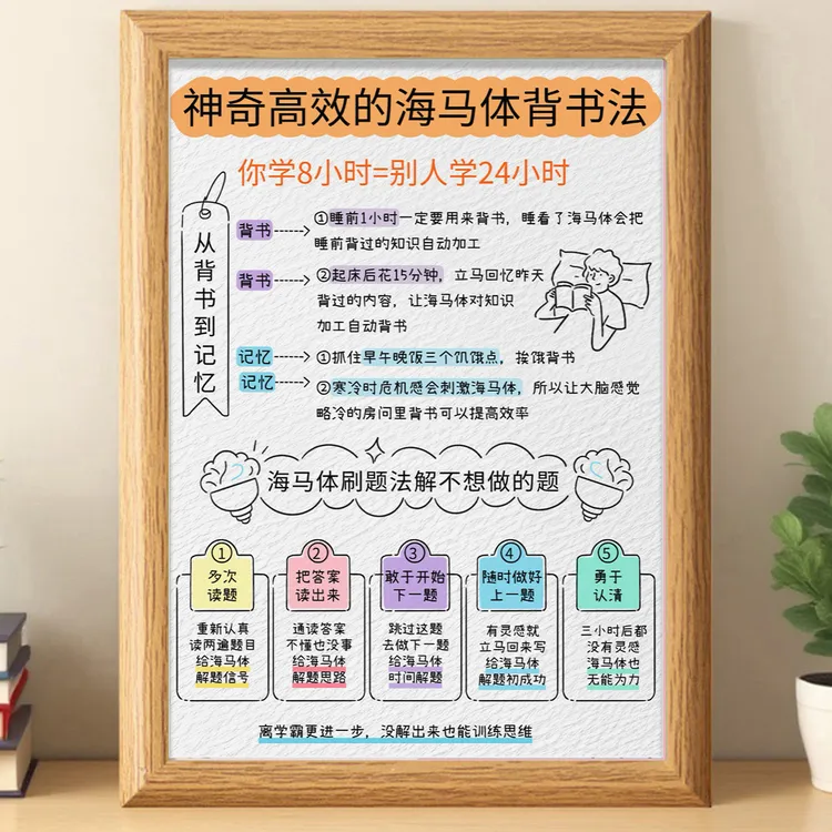 海马体背书学习记忆力增强8大方法相框摆台个人成长简约桌面摆件