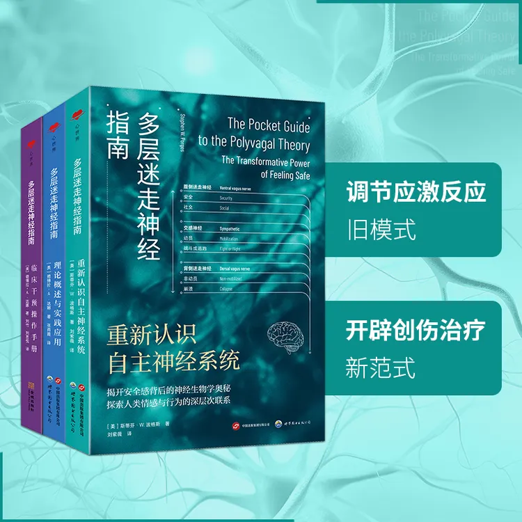 多层迷走神经指南组合装