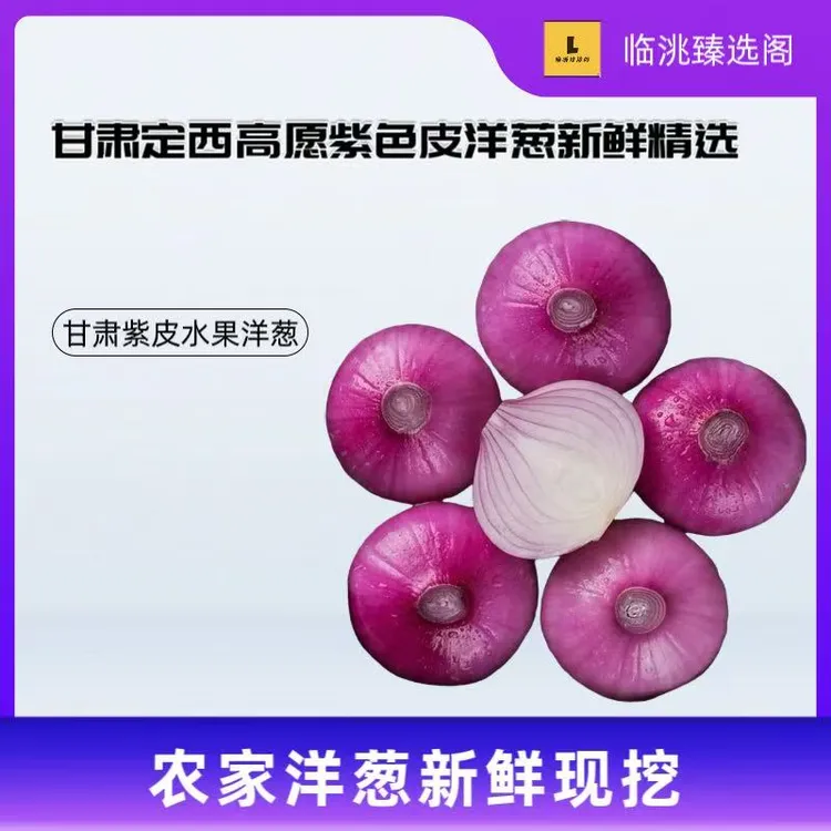 甘肃定西高原紫皮洋葱新鲜精选产地水果直发生吃炒菜专用