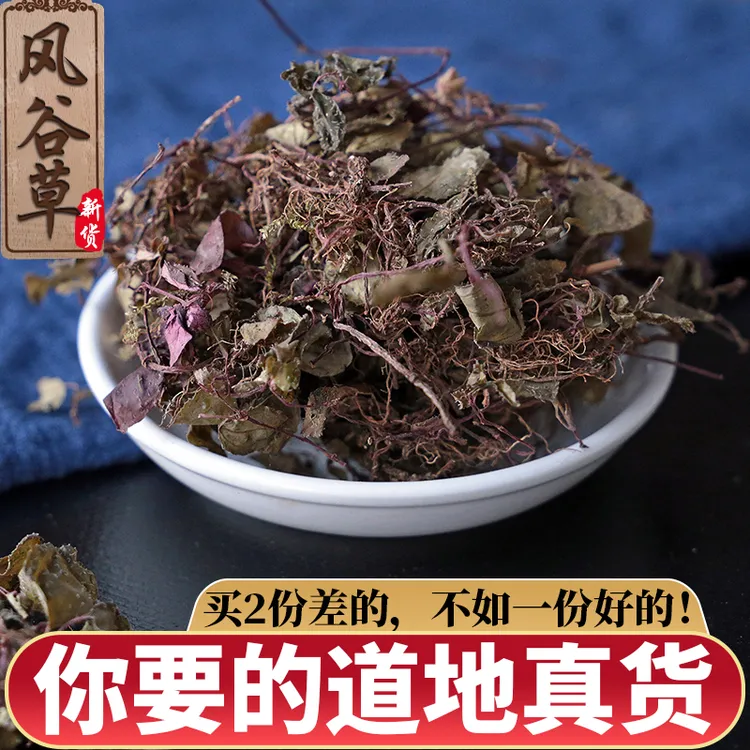 深山野生风柜斗草试用装7天的量