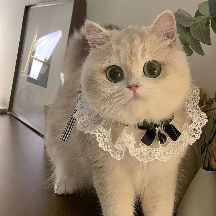 可爱结仙女猫咪口水巾公主风蕾丝项圈铃铛项链围兜
