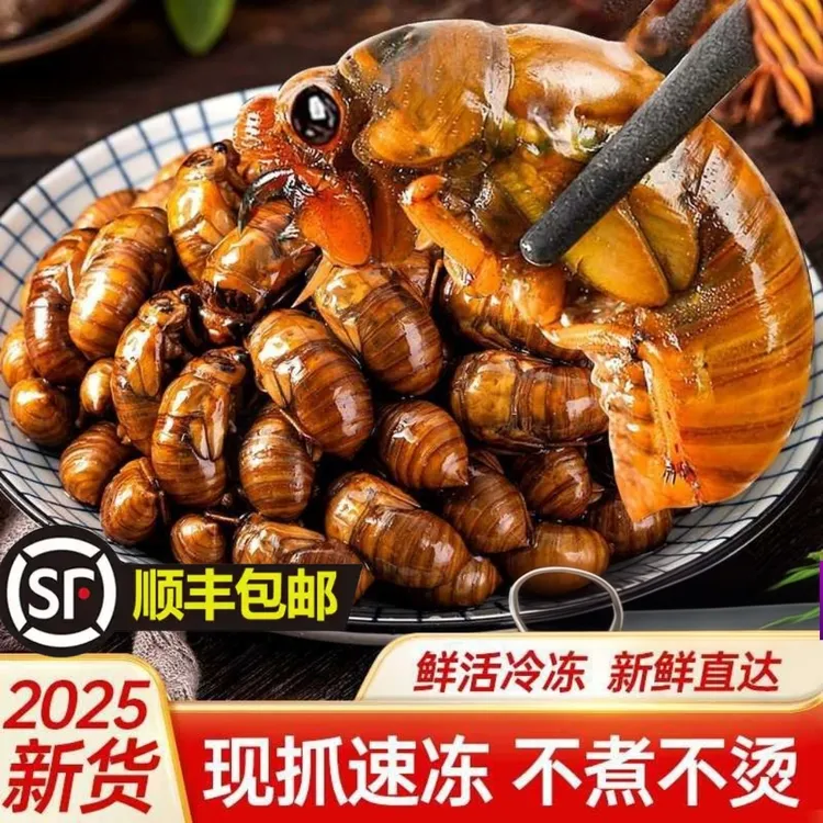 早市现收2025鲜活速冻金蝉油炸知了猴高蛋白下酒菜活体爬叉猴