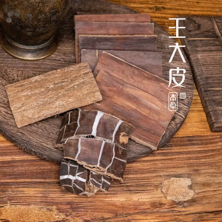 生杜仲 道地高品质经方经典优质正宗原产地直邮新鲜