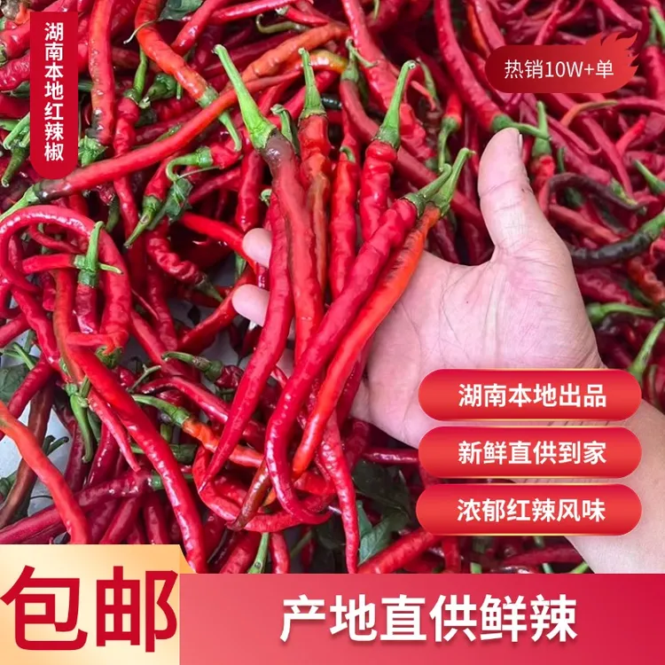 湖南新鲜现摘农家红小螺线辣椒中高辣香辣可做剁椒泡椒辣椒酱