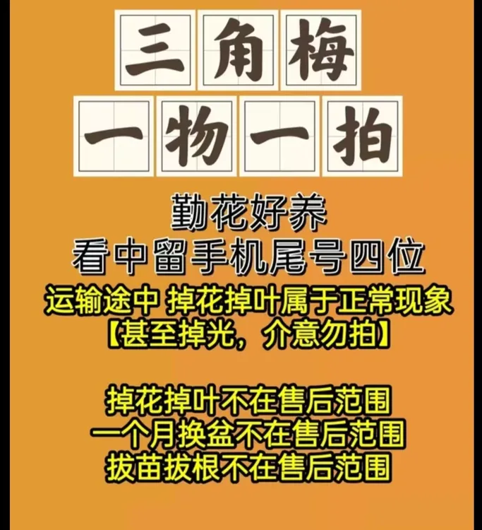 掌中宝    品种组合套装